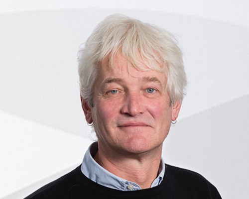 Professor Andrew Hill