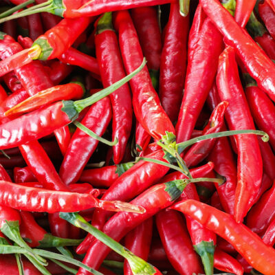 A mound of red chilli peppers.