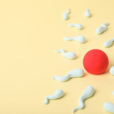 Fertilization concept, ovulation period, sperm and egg.