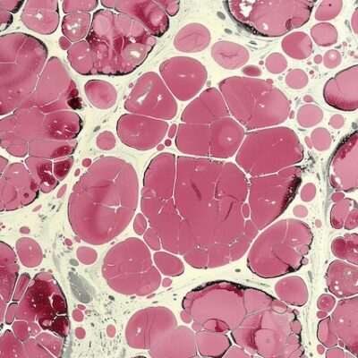 Concept image of human fat cells.