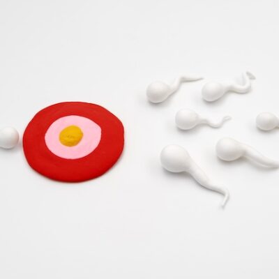 Male fertility concept image.